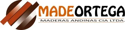 Grupo Industrial Ortega